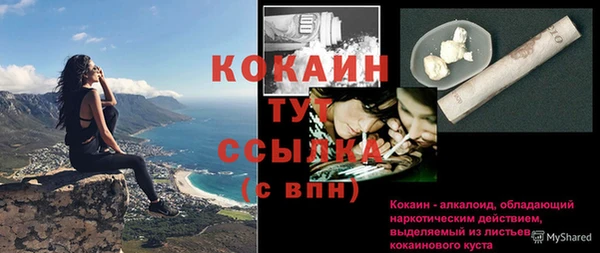винт Аркадак