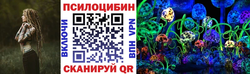 Псилоцибиновые грибы Cubensis  Купить  Разумное 